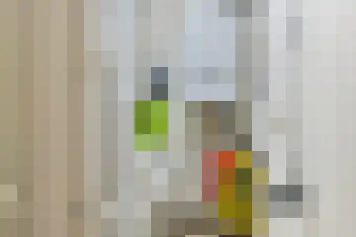 Kosterhof 26 Waalre thumbnail 18