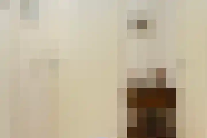 Kosterhof 26 Waalre thumbnail 19