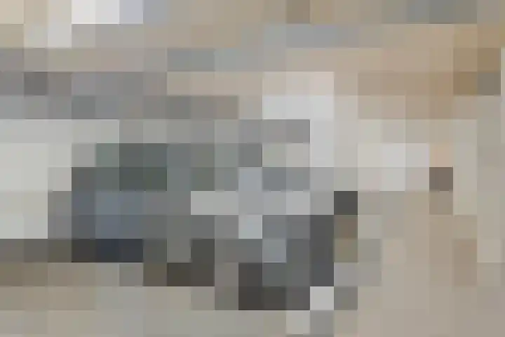 Kosterhof 26 Waalre thumbnail 29
