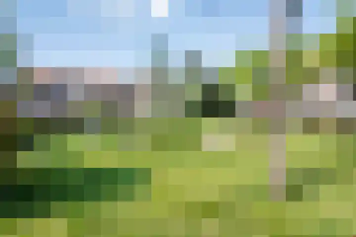 Kosterhof 26 Waalre thumbnail 30