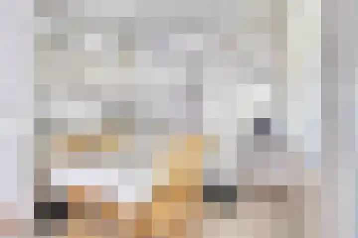 Kosterhof 28 Waalre thumbnail 12