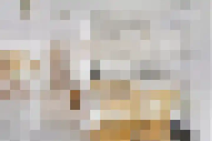Kosterhof 28 Waalre thumbnail 13
