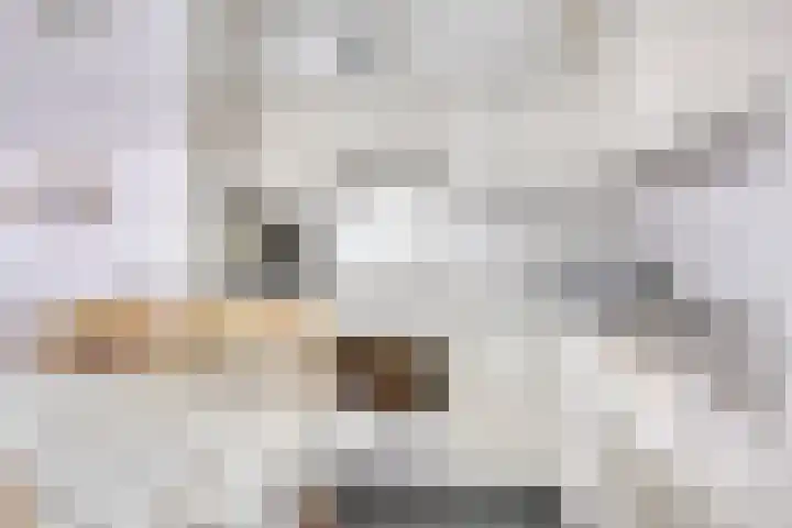Kosterhof 28 Waalre thumbnail 14