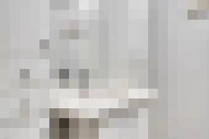 Kosterhof 28 Waalre thumbnail 25