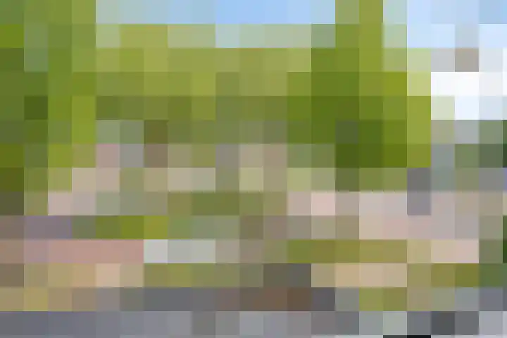 Kosterhof 28 Waalre thumbnail 29