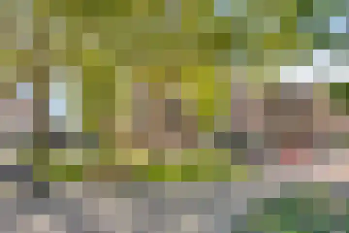 Kosterhof 28 Waalre thumbnail 32