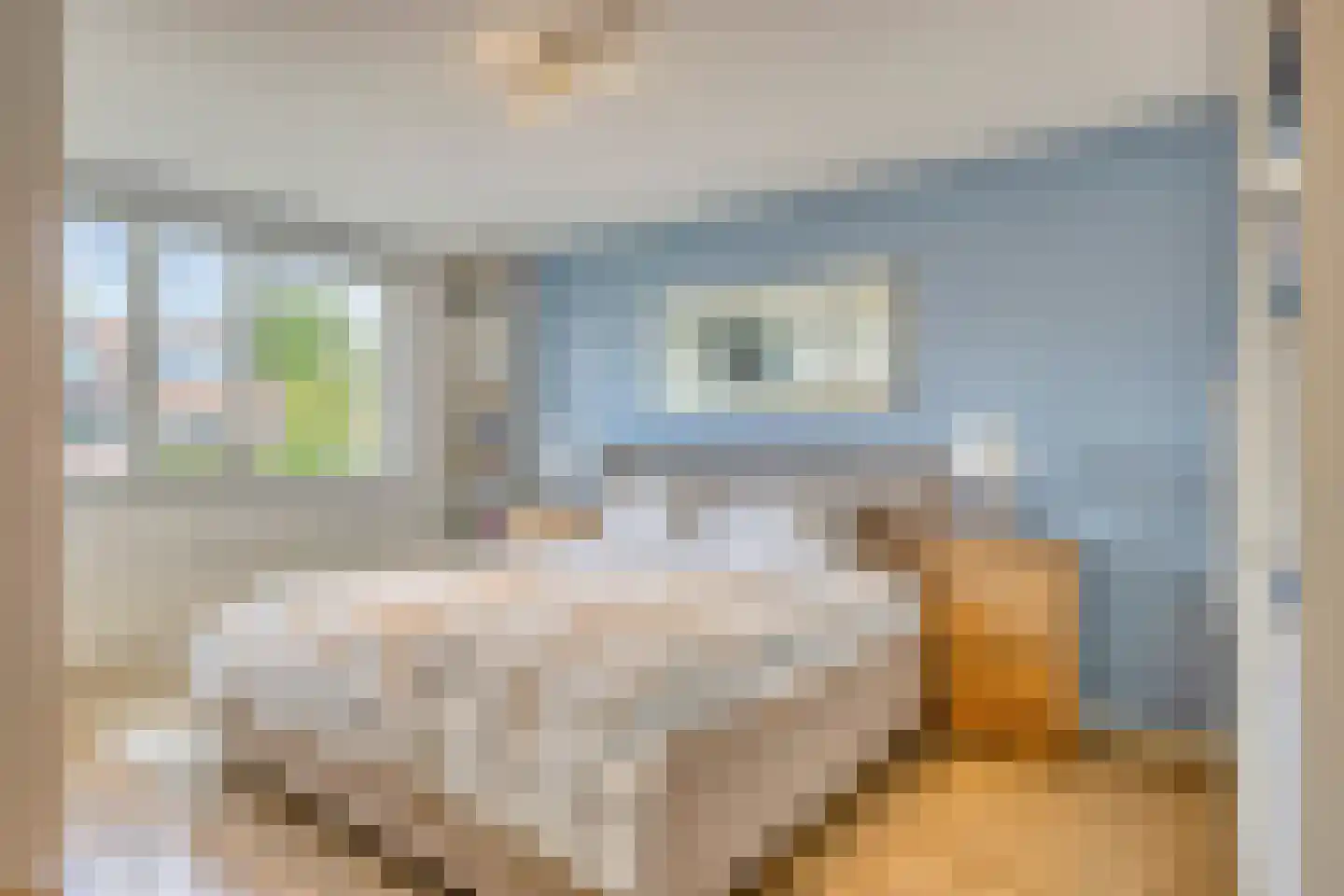 Kosterhof 59 Waalre thumbnail 30