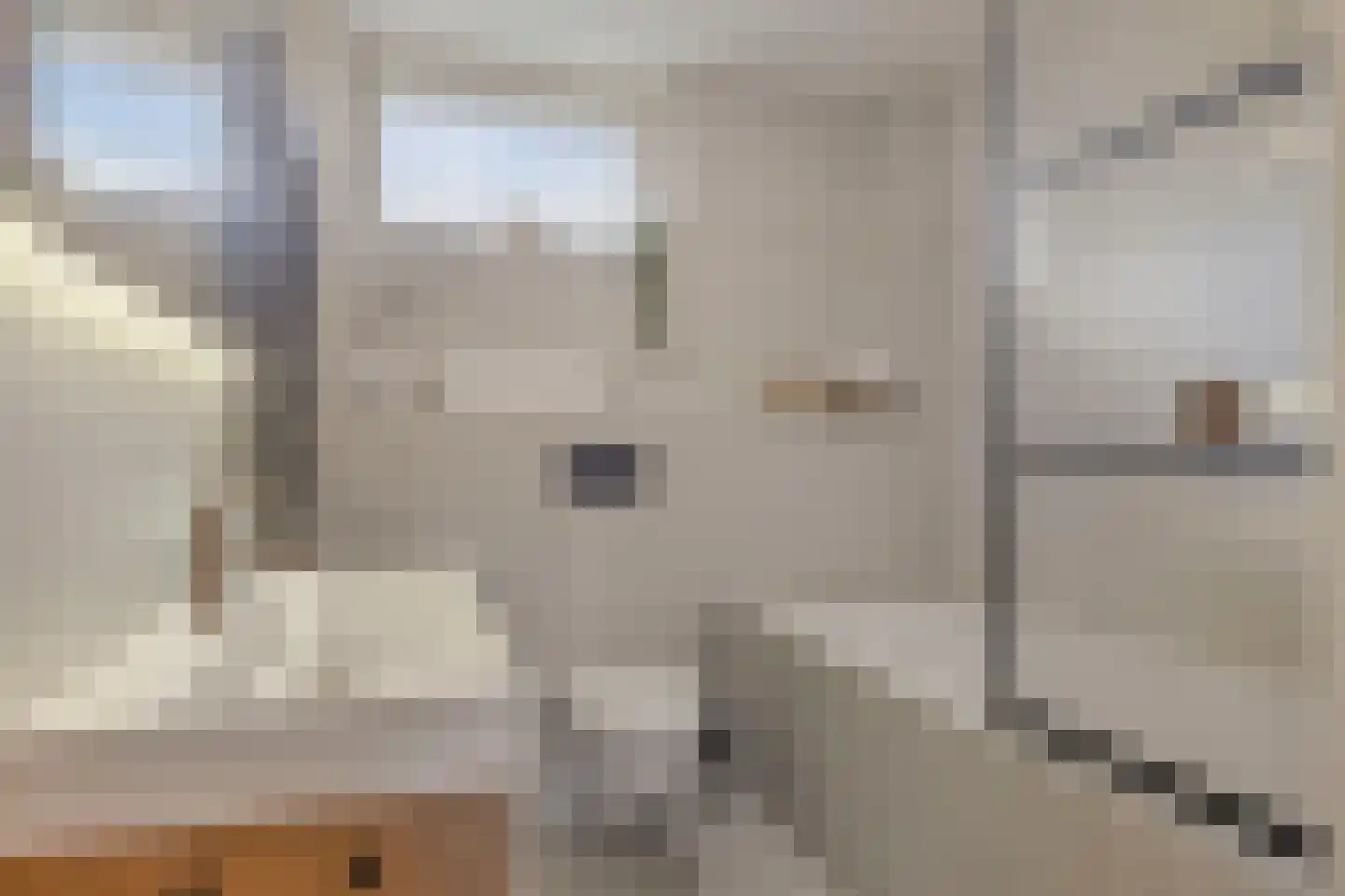 Kosterhof 59 Waalre thumbnail 37