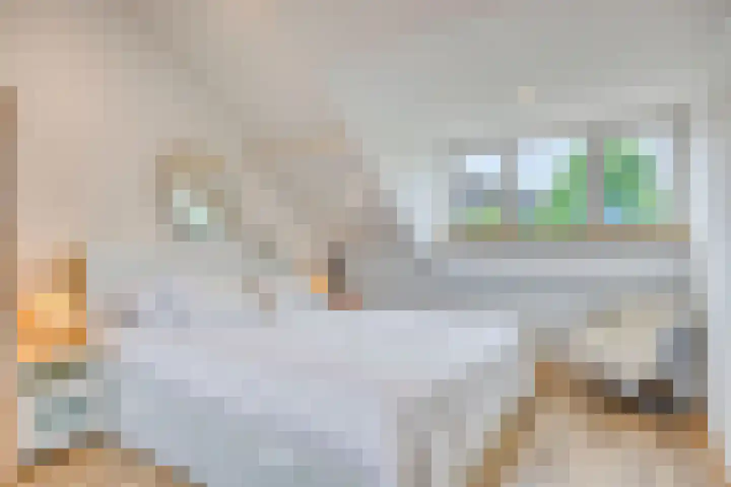 Kosterhof 59 Waalre thumbnail 52