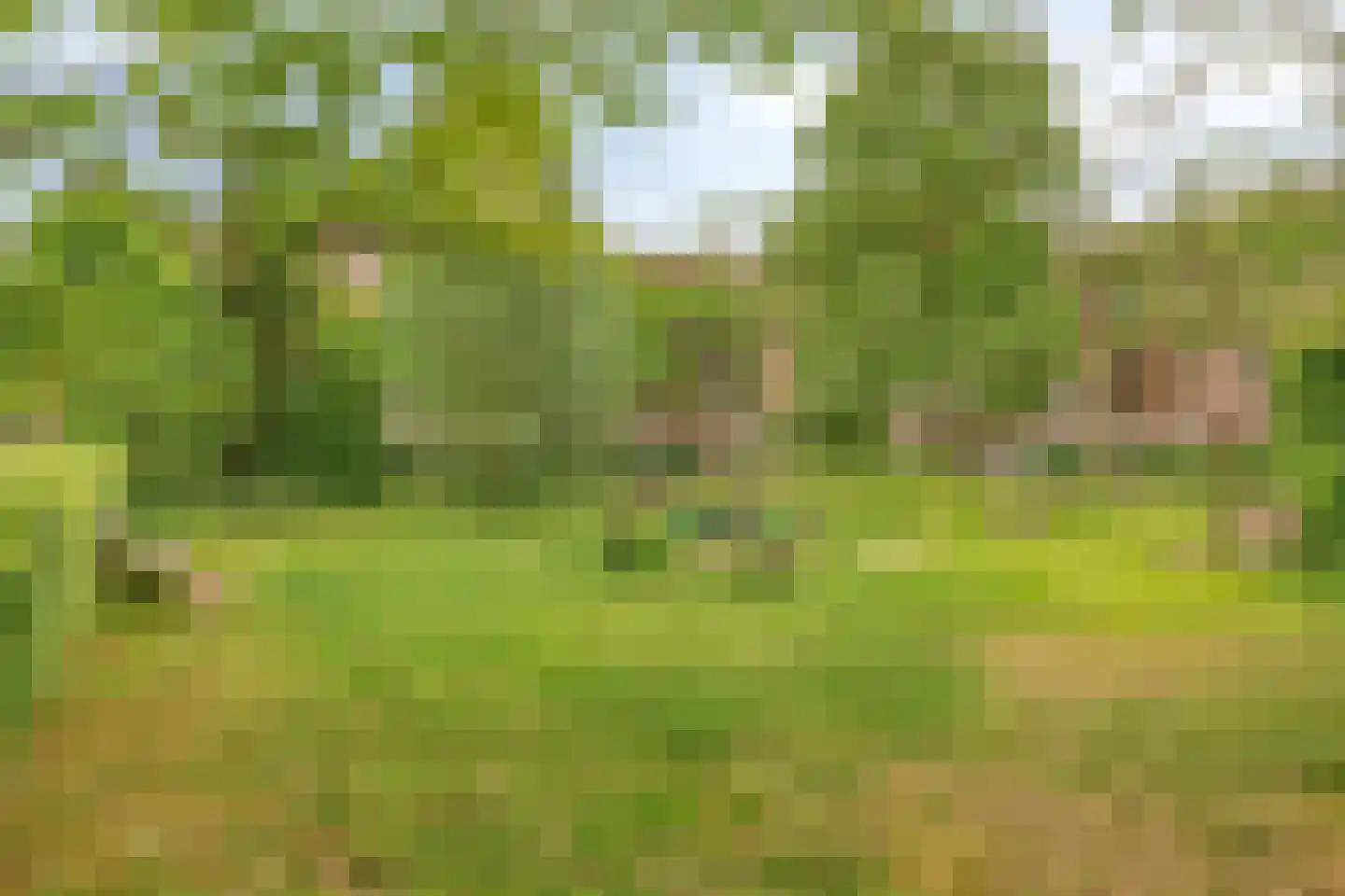 Kosterhof 59 Waalre thumbnail 63