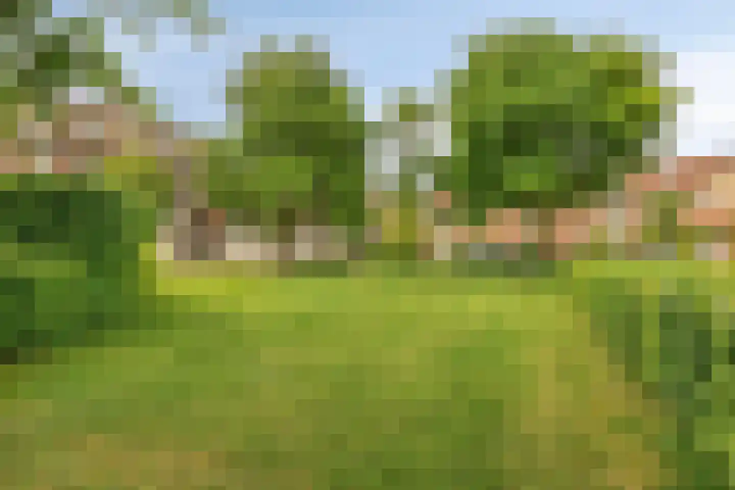 Kosterhof 59 Waalre thumbnail 65