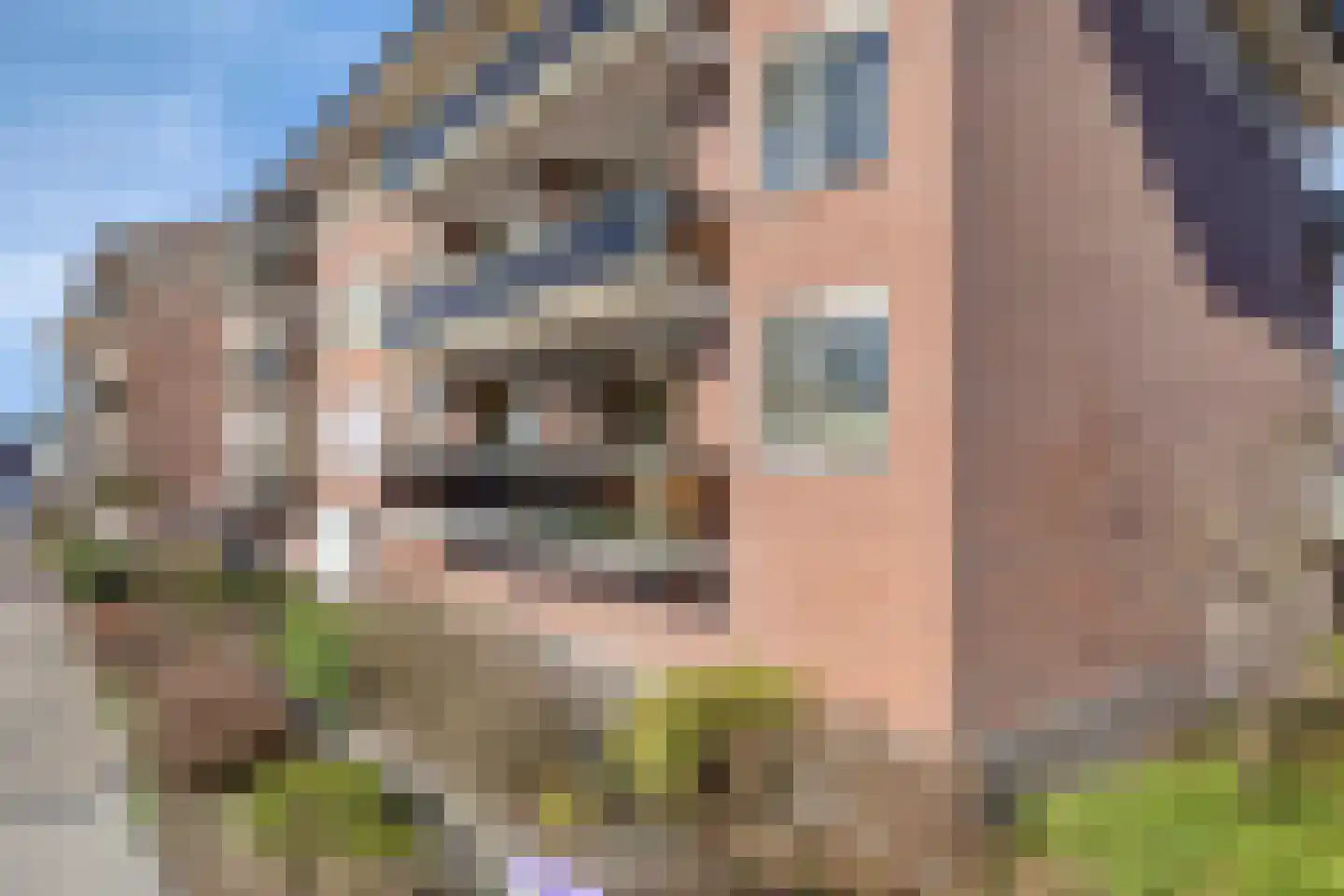 Kosterhof 7 Waalre thumbnail 11