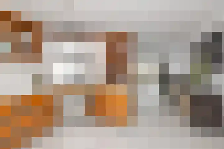 Kosterij 18 Venhuizen thumbnail 13