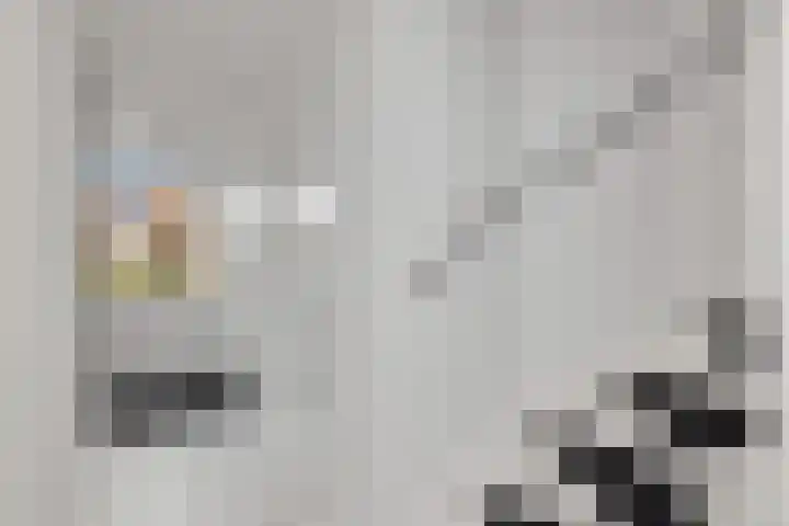 Kosterij 18 Venhuizen thumbnail 14