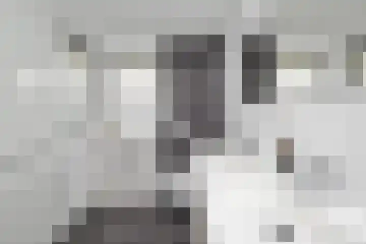 Kosterij 18 Venhuizen thumbnail 19