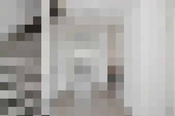 Kosterij 18 Venhuizen thumbnail 29