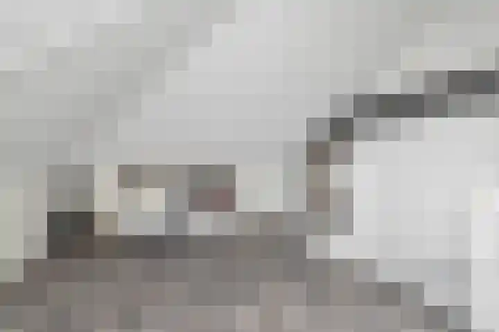 Kosterij 18 Venhuizen thumbnail 31