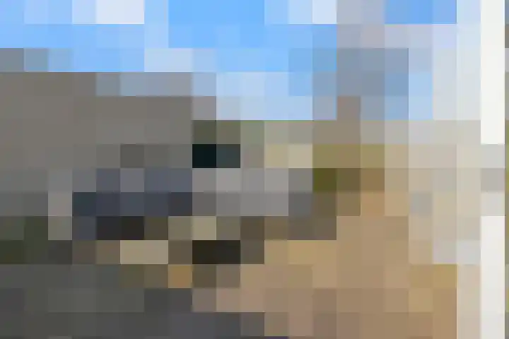 Kosterij 18 Venhuizen thumbnail 33