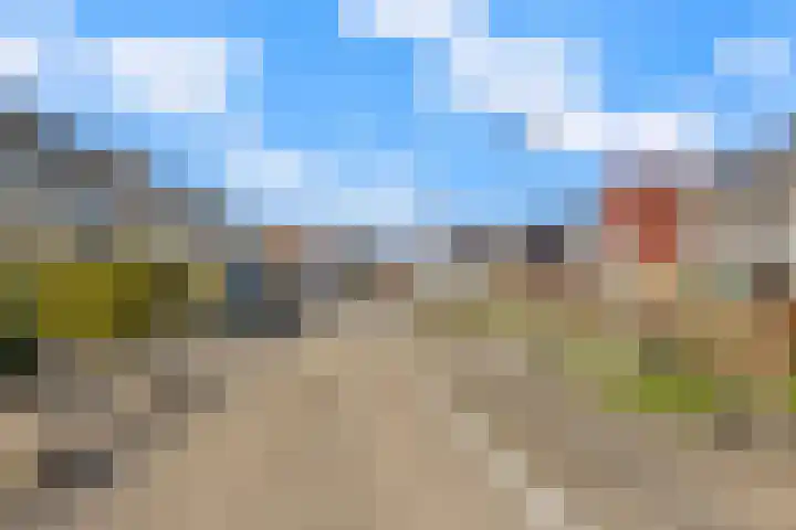 Kosterij 18 Venhuizen thumbnail 38