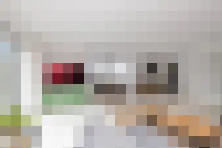 Kosterij 18 Venhuizen thumbnail 4
