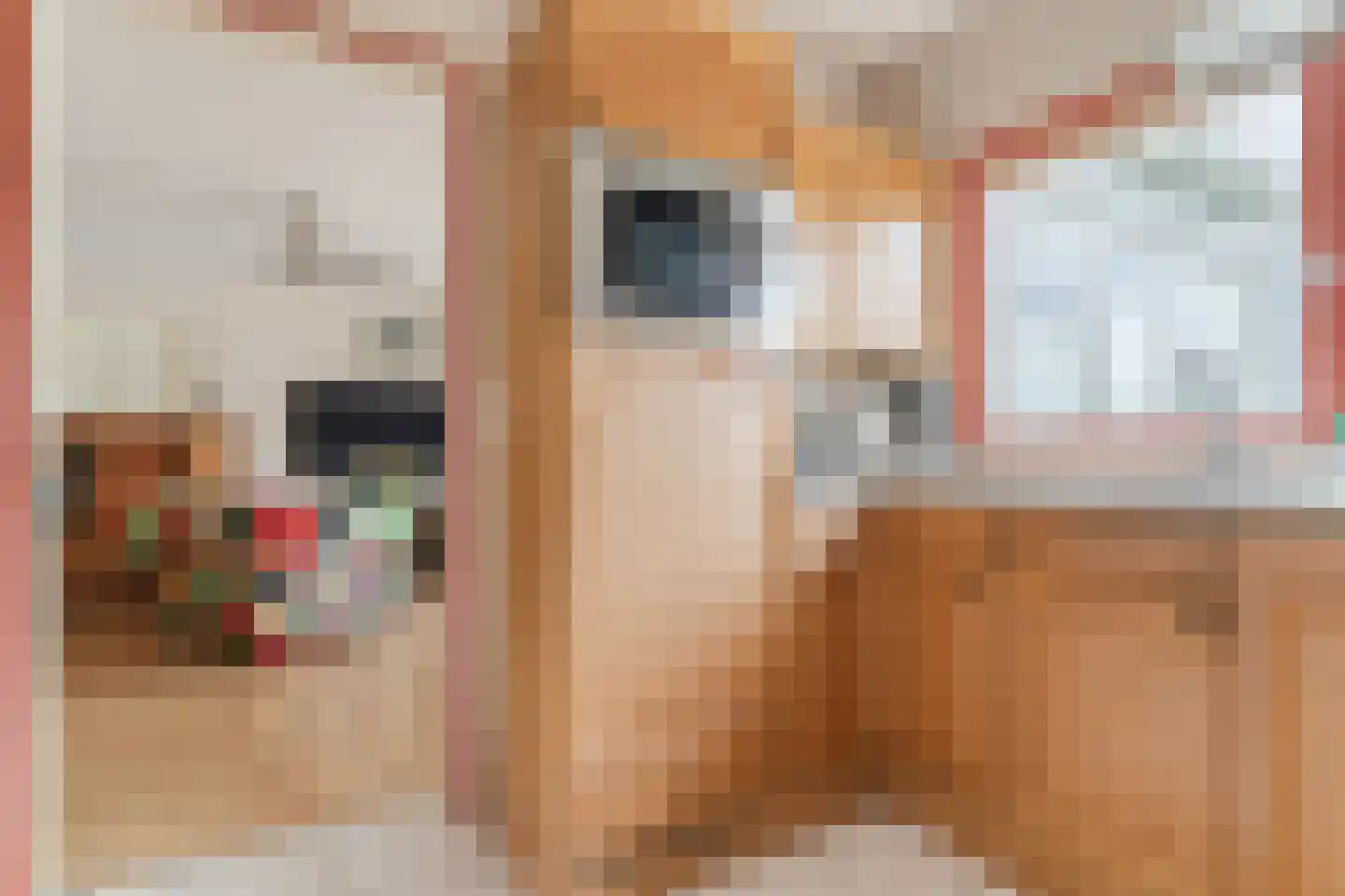 Kosterij 7 Broek op Langedijk thumbnail 17
