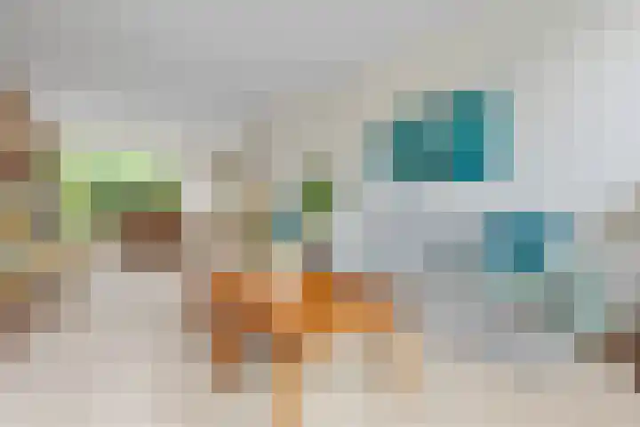 Kosterijland 14 Velp thumbnail 13