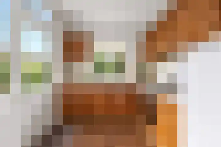Kosterijland 14 Velp thumbnail 15