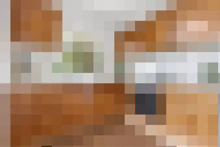 Kosterijland 14 Velp thumbnail 16