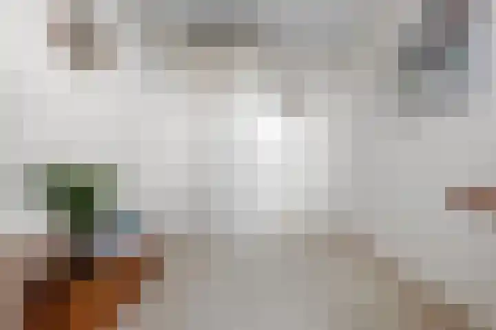 Kosterijland 14 Velp thumbnail 20