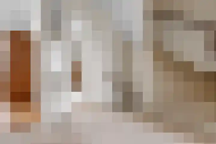 Kosterijland 14 Velp thumbnail 28