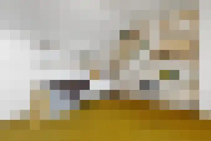 Kosterijland 14 Velp thumbnail 35