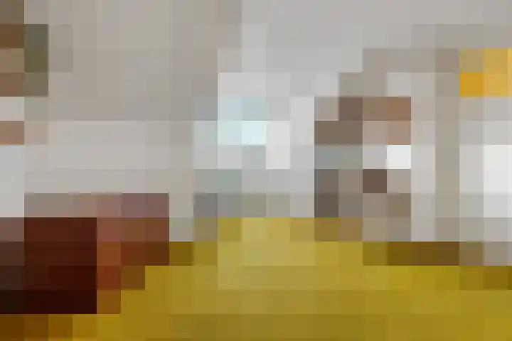 Kosterijland 14 Velp thumbnail 36