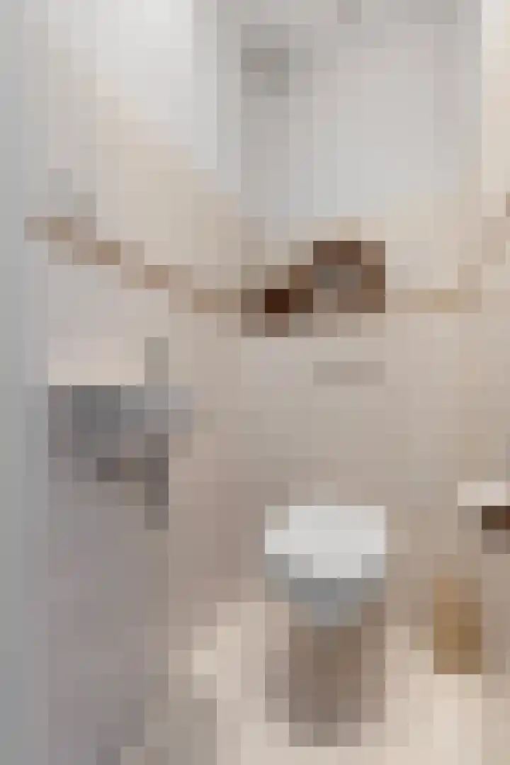 Kosterijland 14 Velp thumbnail 5