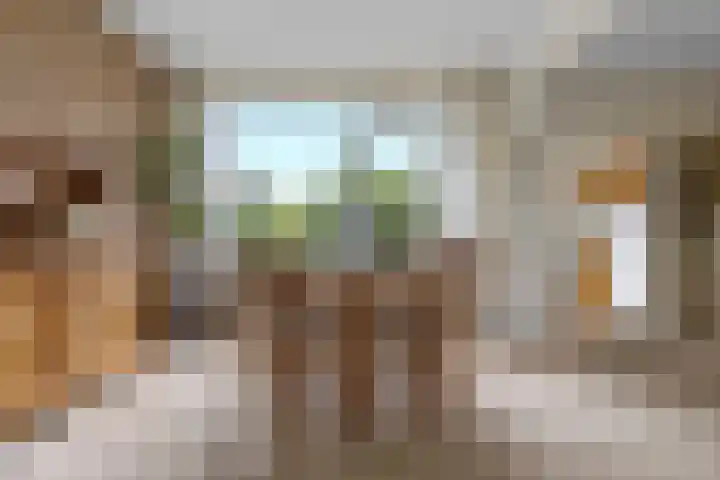 Kosterijland 14 Velp thumbnail 8