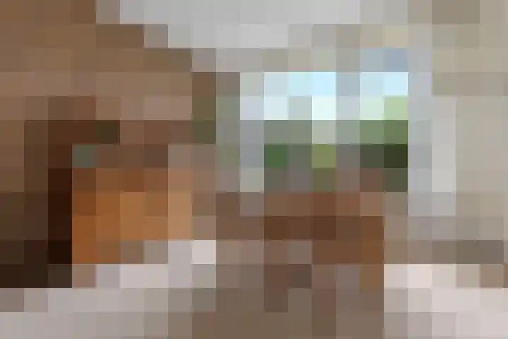 Kosterijland 14 Velp thumbnail 9