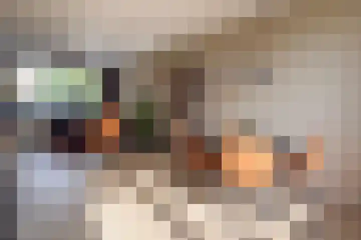 Kosterijland 18 Velp thumbnail 10