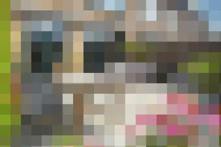 Kosterijland 18 Velp thumbnail 16