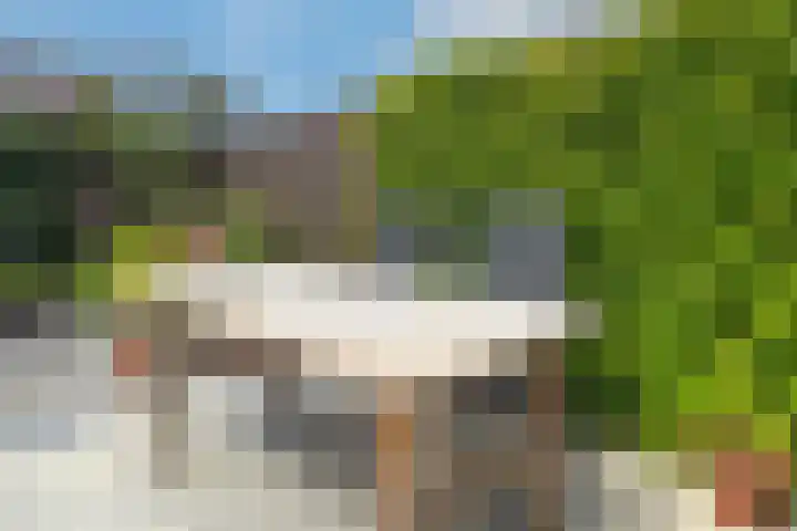 Kosterijland 18 Velp thumbnail 17