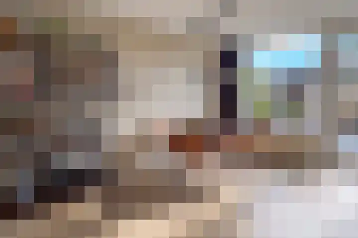Kosterijland 18 Velp thumbnail 8