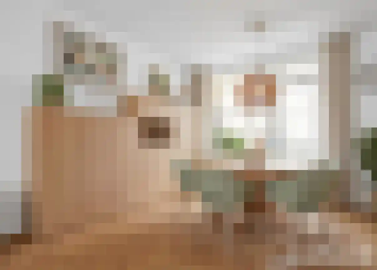 Kosterijstraat 15 Ursem thumbnail 11