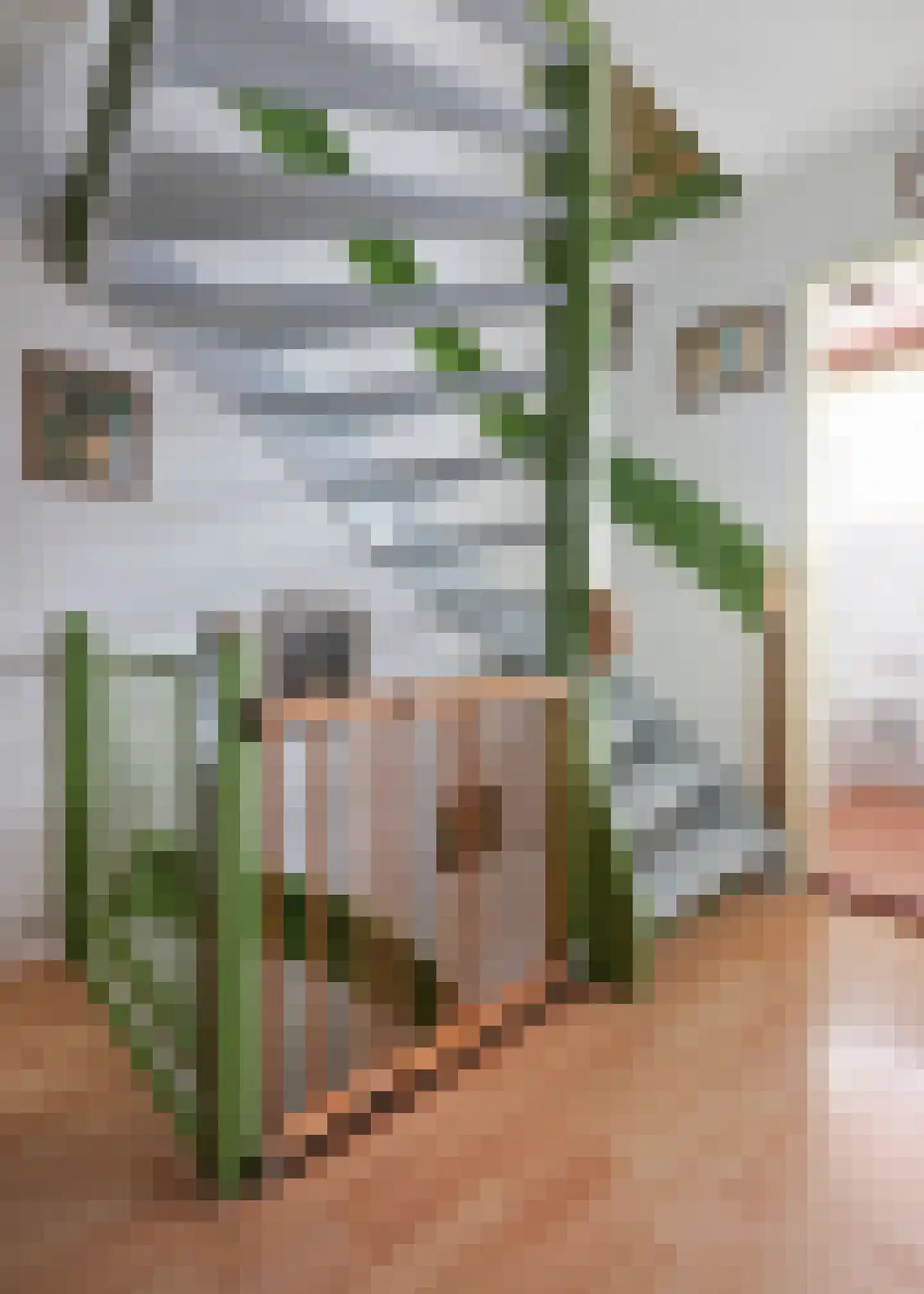 Kosterijstraat 15 Ursem thumbnail 26