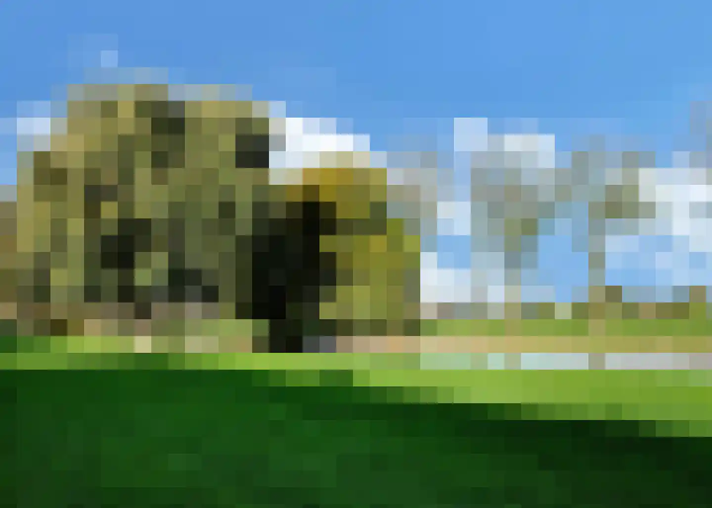 Kosterijstraat 15 Ursem thumbnail 36