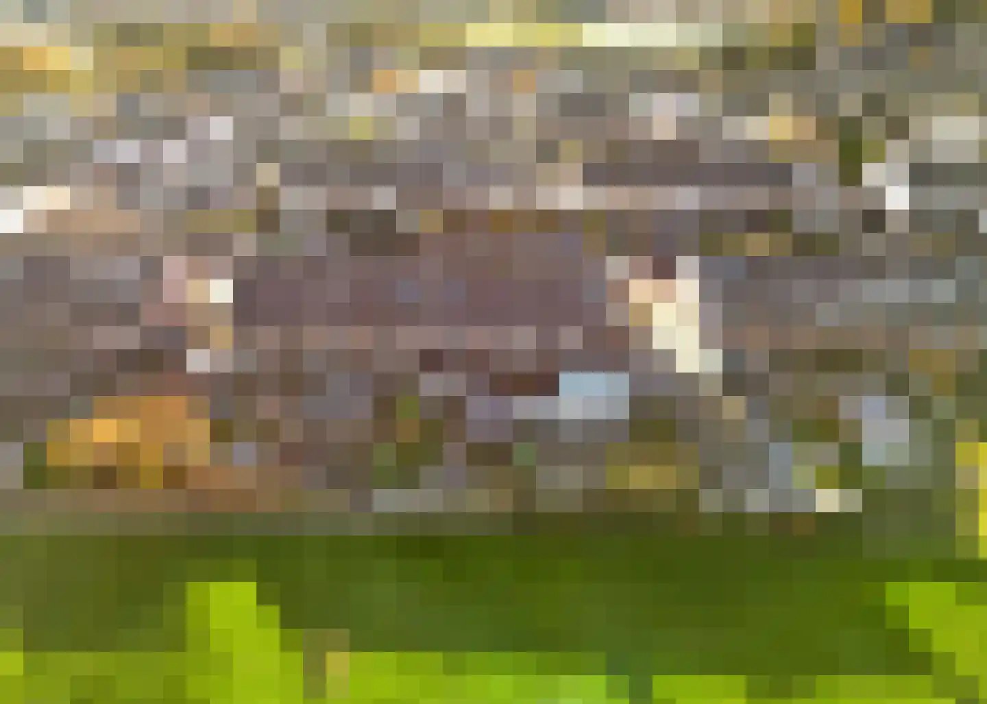 Kosterijstraat 15 Ursem thumbnail 38