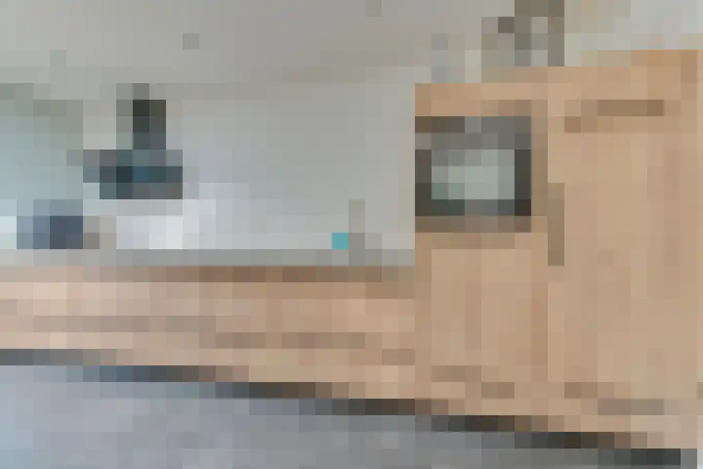 Kosterijstraat 20 Ursem thumbnail 18
