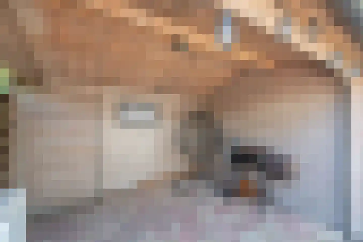 Kosterijstraat 20 Ursem thumbnail 47