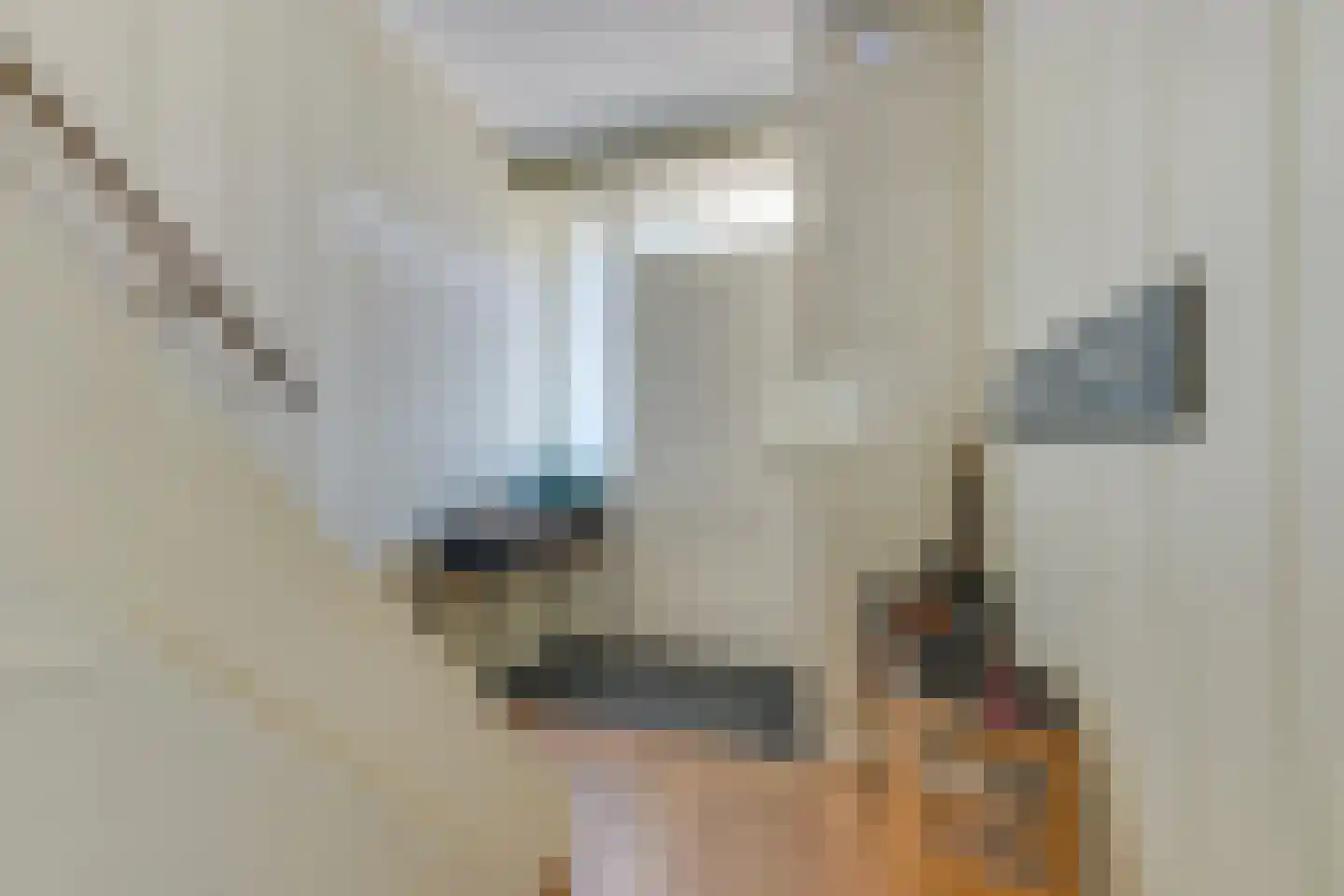 Kosterijstraat 20 Ursem thumbnail 8