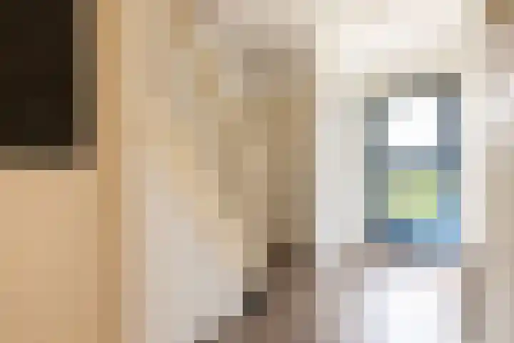 Kosterijweg 68 Kootwijkerbroek thumbnail 17