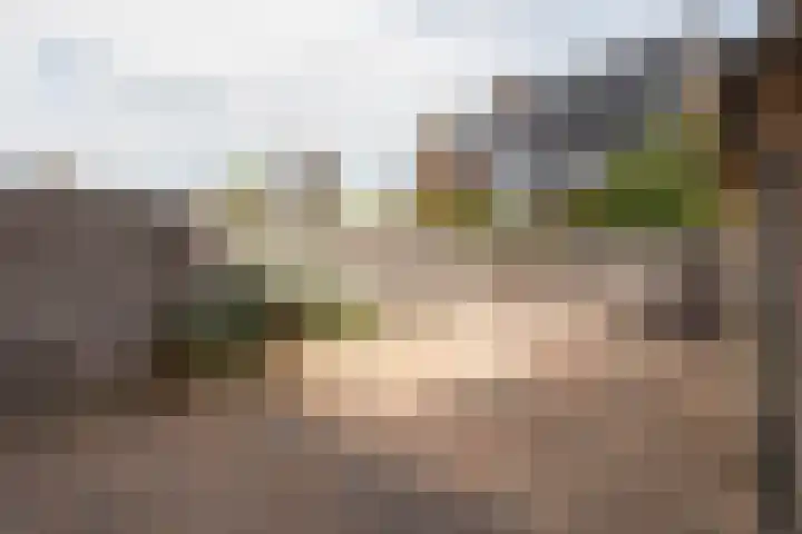 Kosterijweg 68 Kootwijkerbroek thumbnail 33
