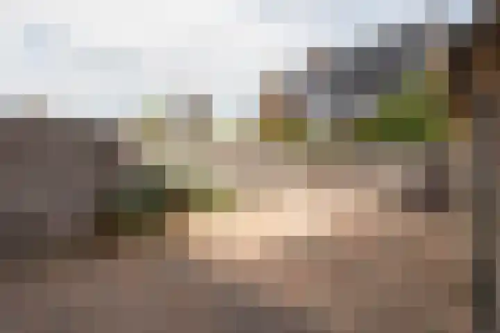 Kosterijweg 68 Kootwijkerbroek thumbnail 4