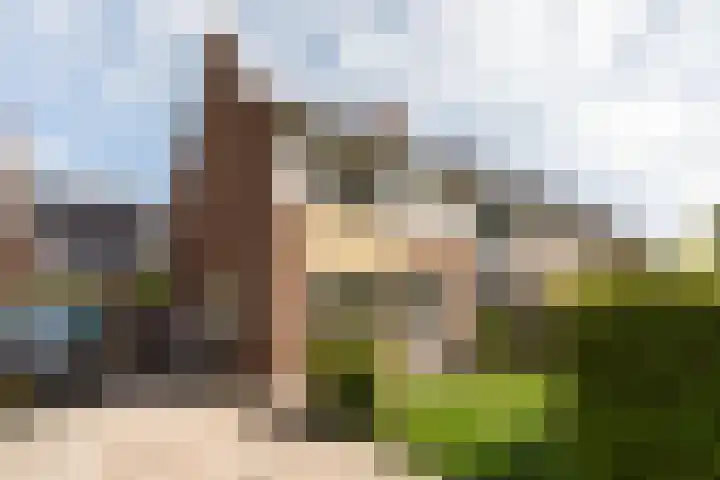 Kosterijweg 68 Kootwijkerbroek thumbnail 5